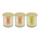 Load image into Gallery viewer, Essano - Build Your Own - Candle 3-Pack Bundle
