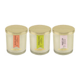Load image into Gallery viewer, Essano - Build Your Own - Candle 3-Pack Bundle
