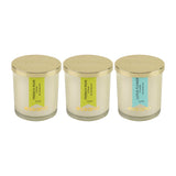 Load image into Gallery viewer, Essano - Build Your Own - Candle 3-Pack Bundle
