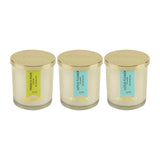 Load image into Gallery viewer, Essano - Build Your Own - Candle 3-Pack Bundle
