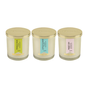 Essano - Build Your Own - Candle 3-Pack Bundle