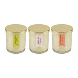 Load image into Gallery viewer, Essano - Build Your Own - Candle 3-Pack Bundle
