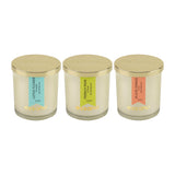 Load image into Gallery viewer, Essano - Build Your Own - Candle 3-Pack Bundle
