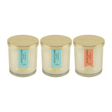 Load image into Gallery viewer, Essano - Build Your Own - Candle 3-Pack Bundle
