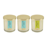 Load image into Gallery viewer, Essano - Build Your Own - Candle 3-Pack Bundle
