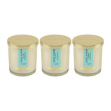 Load image into Gallery viewer, Essano - Build Your Own - Candle 3-Pack Bundle

