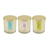 Load image into Gallery viewer, Essano - Build Your Own - Candle 3-Pack Bundle
