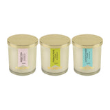 Load image into Gallery viewer, Essano - Build Your Own - Candle 3-Pack Bundle
