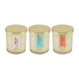 Load image into Gallery viewer, Essano - Build Your Own - Candle 3-Pack Bundle
