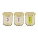 Load image into Gallery viewer, Essano - Build Your Own - Candle 3-Pack Bundle
